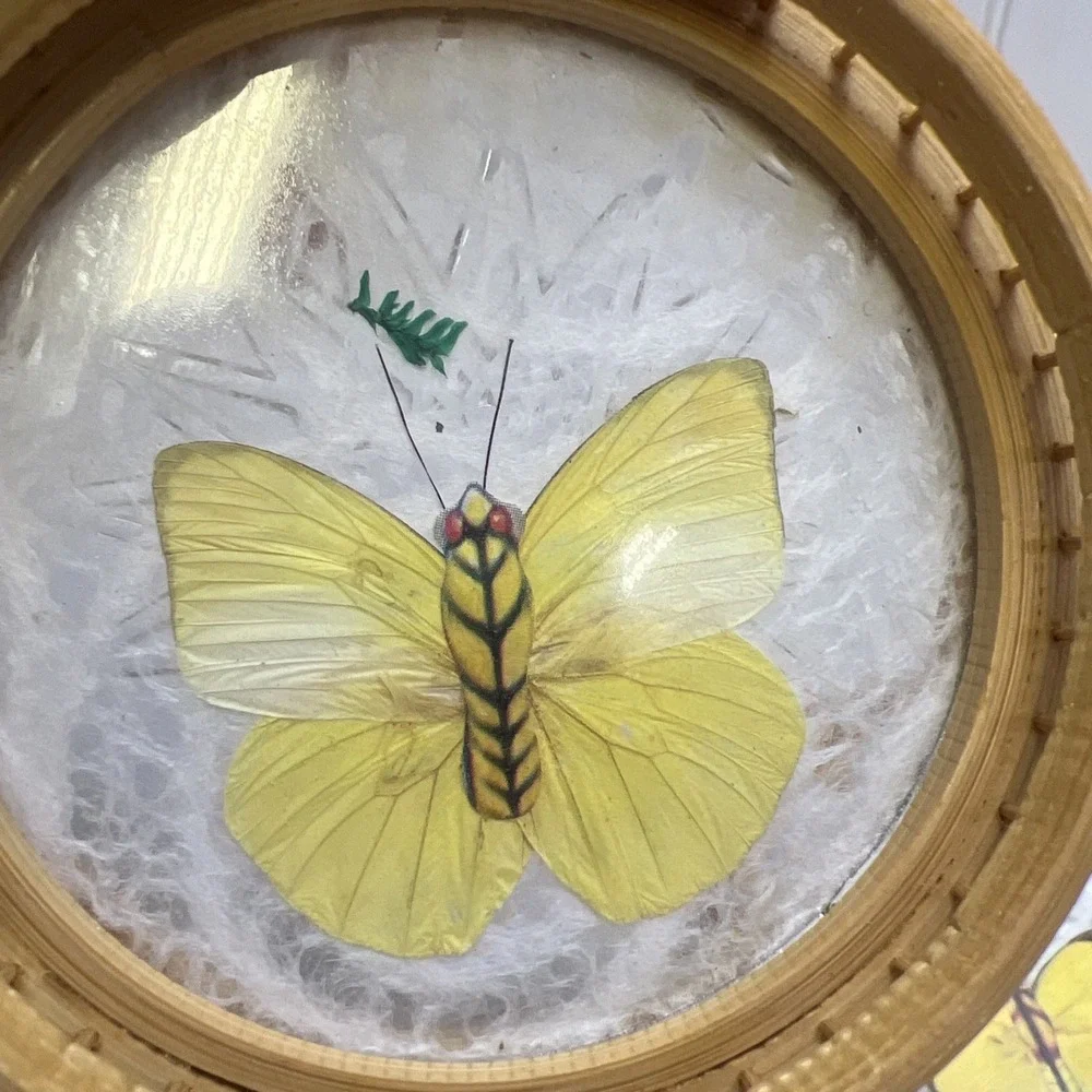 Set Of 2 Vintage Bamboo Acrylic Coaster w/ Real Pressed Butterfly